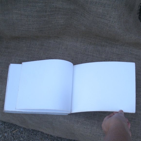 Ultimate Guide to Cat Breeds by Louisa Somerville - Picture 12 of 16